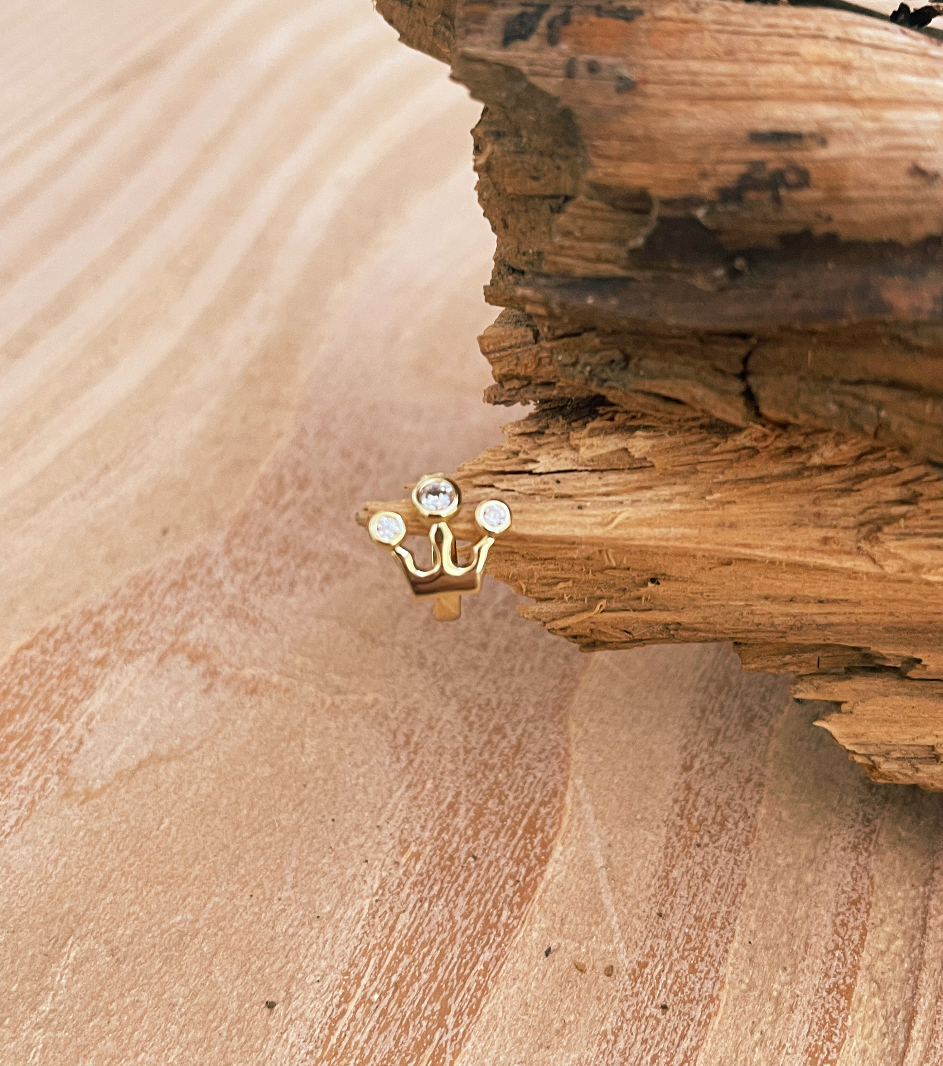 Crown Gold Earrings