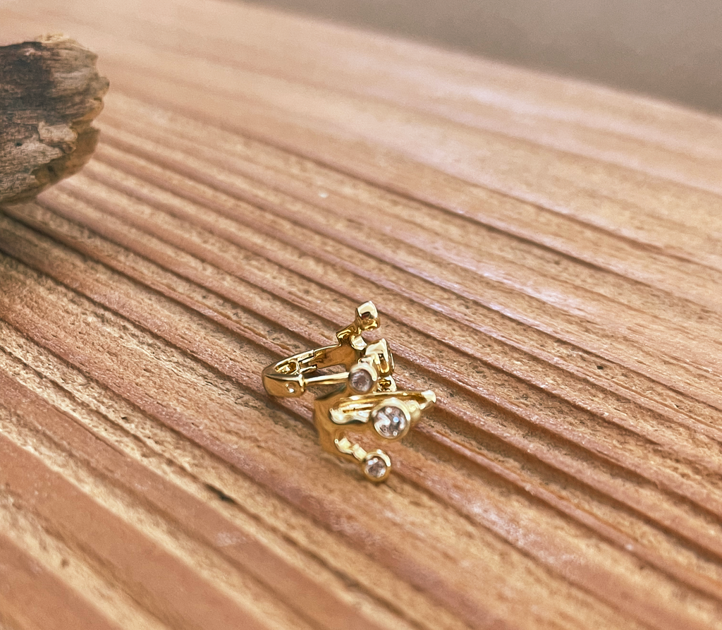Crown Gold Earrings