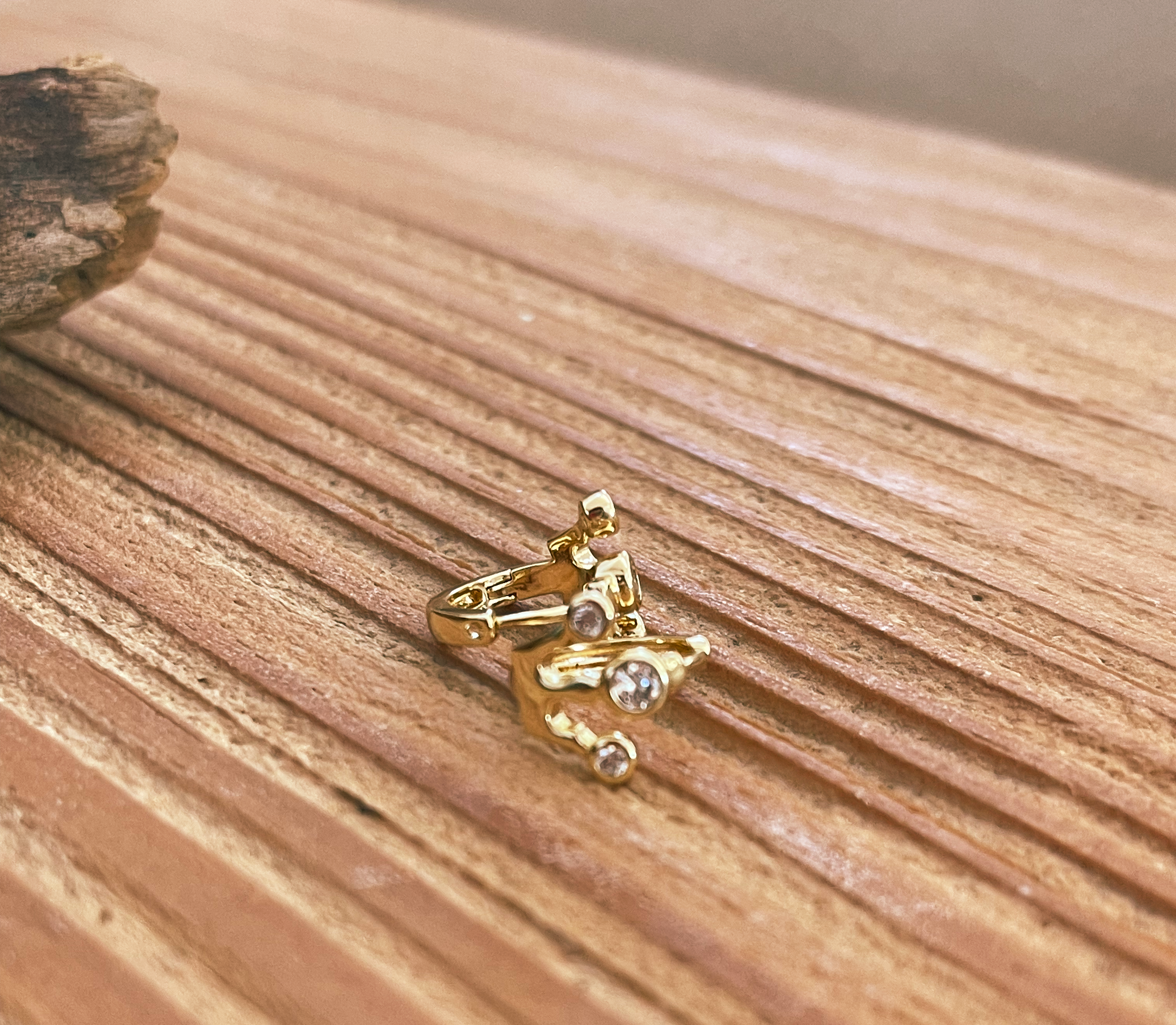 Crown Gold Earrings