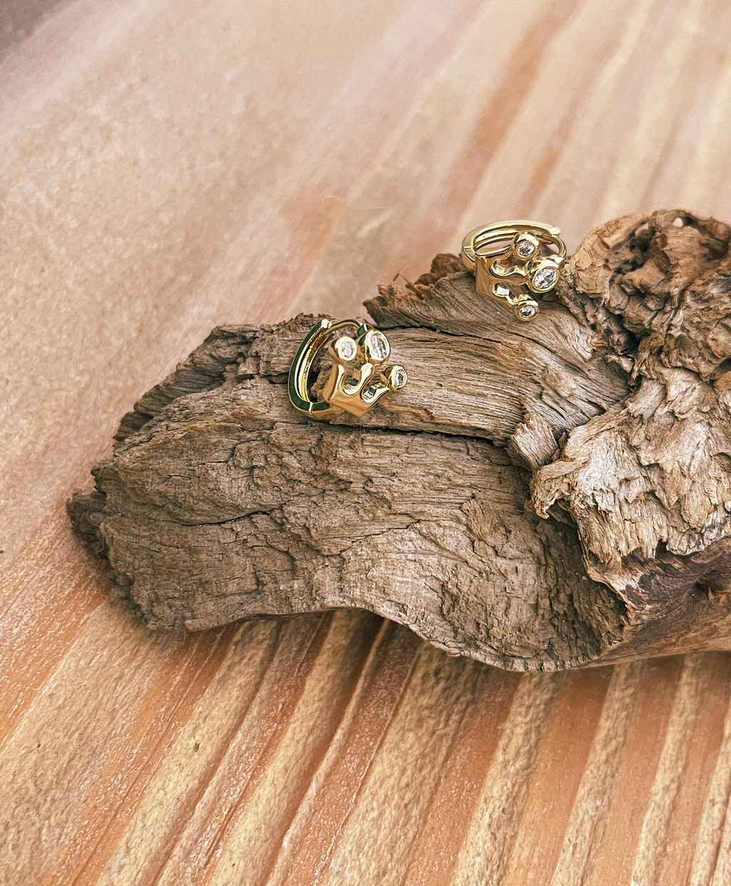 Crown Gold Earrings