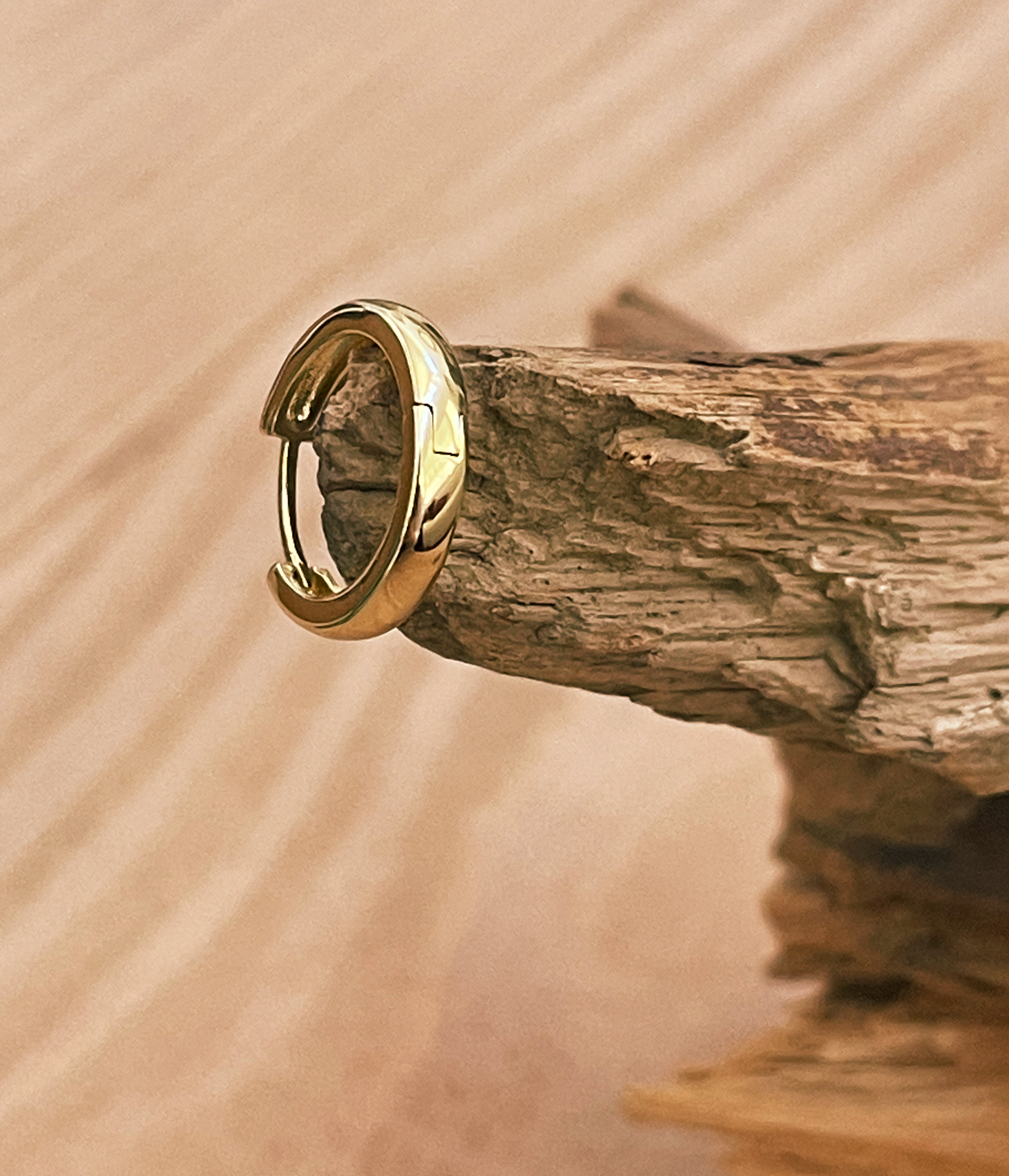 Gold Shape Earings
